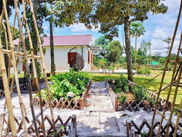 Chi 900 triệu để cải tạo nhà cũ, góc nào cũng đẹp-5