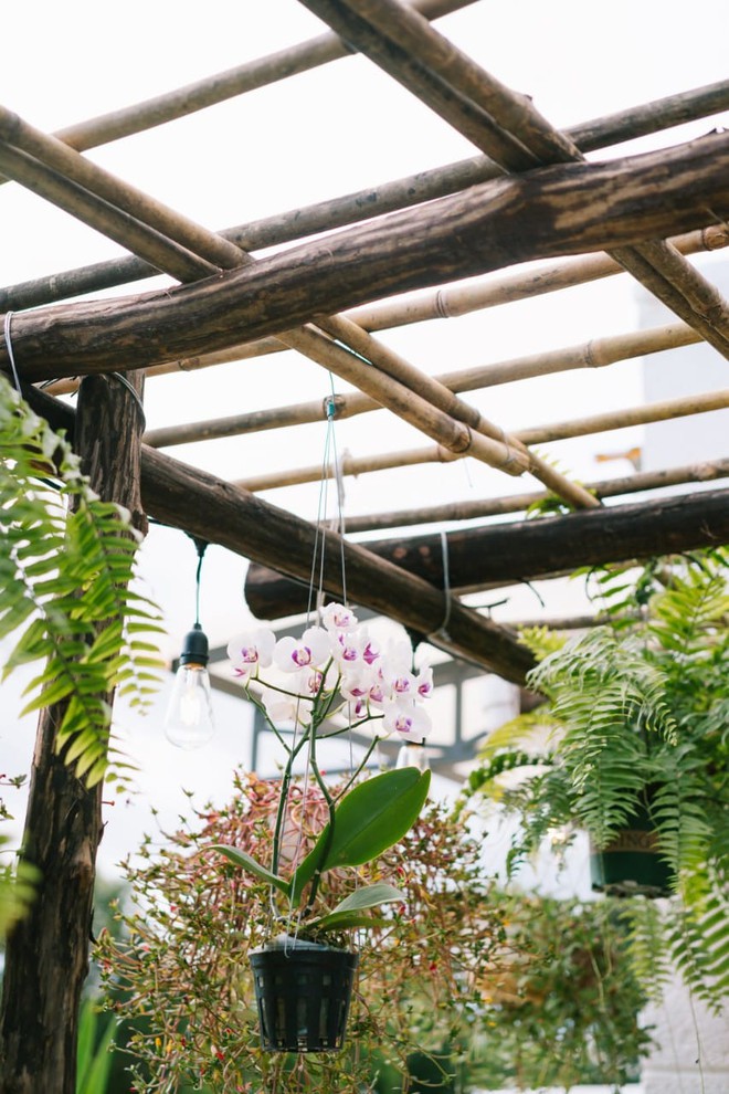 Chi 900 triệu để cải tạo nhà cũ, góc nào cũng đẹp-14