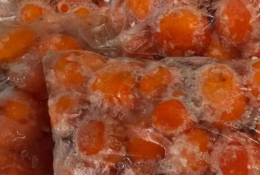 Thu giữ gần 3 tấn thịt vịt và trứng gà non nghi nhập lậu-1