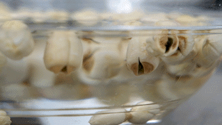 Dùng nồi cơm điện nấu canh sườn đậu xanh hạt sen thanh nhiệt cơ thể-1