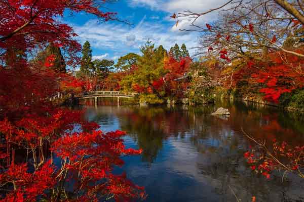 3 con giáp trời sinh vượng phu ích tử, giúp chồng con làm nên nghiệp lớn-4