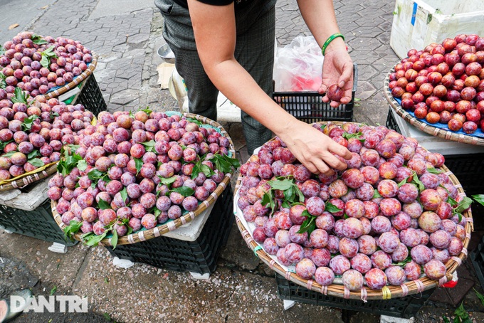 Tết Đoan Ngọ: Tiểu thương bán 2 tạ rượu nếp, hoa quả chốt đơn mỏi tay-2