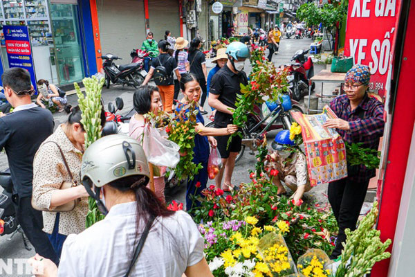 Mít ruột đỏ đã hết độc lạ-6