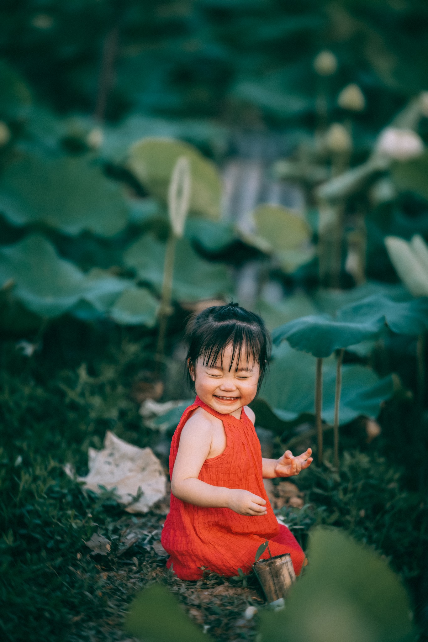 Tan chảy trước bộ ảnh ngọt ngào của bé gái 2 tuổi tạo dáng bên đầm sen-5