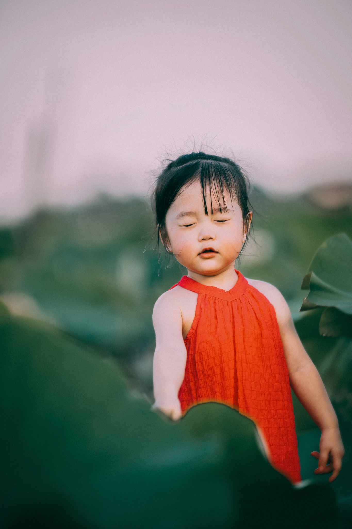 Tan chảy trước bộ ảnh ngọt ngào của bé gái 2 tuổi tạo dáng bên đầm sen-7