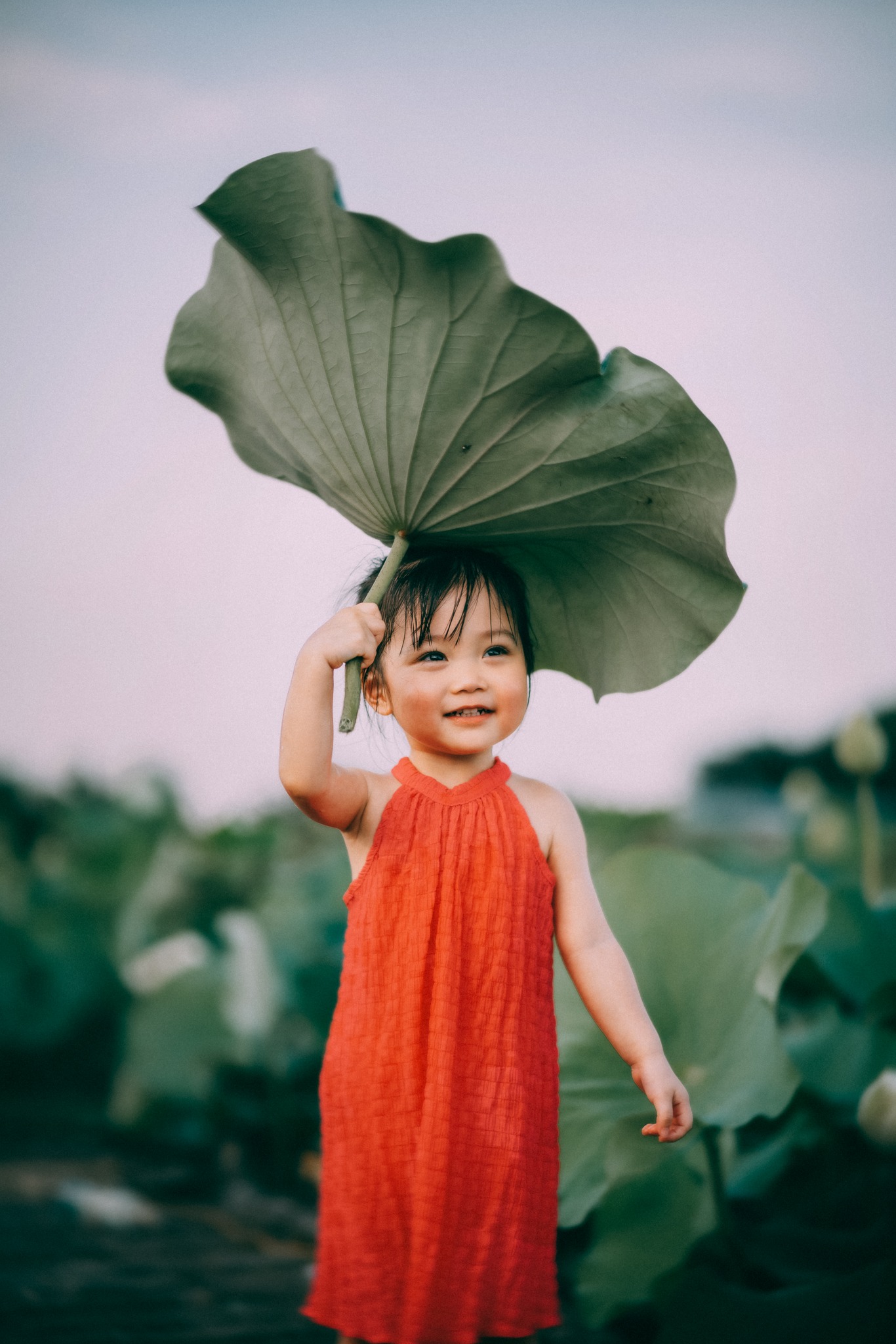 Tan chảy trước bộ ảnh ngọt ngào của bé gái 2 tuổi tạo dáng bên đầm sen-8