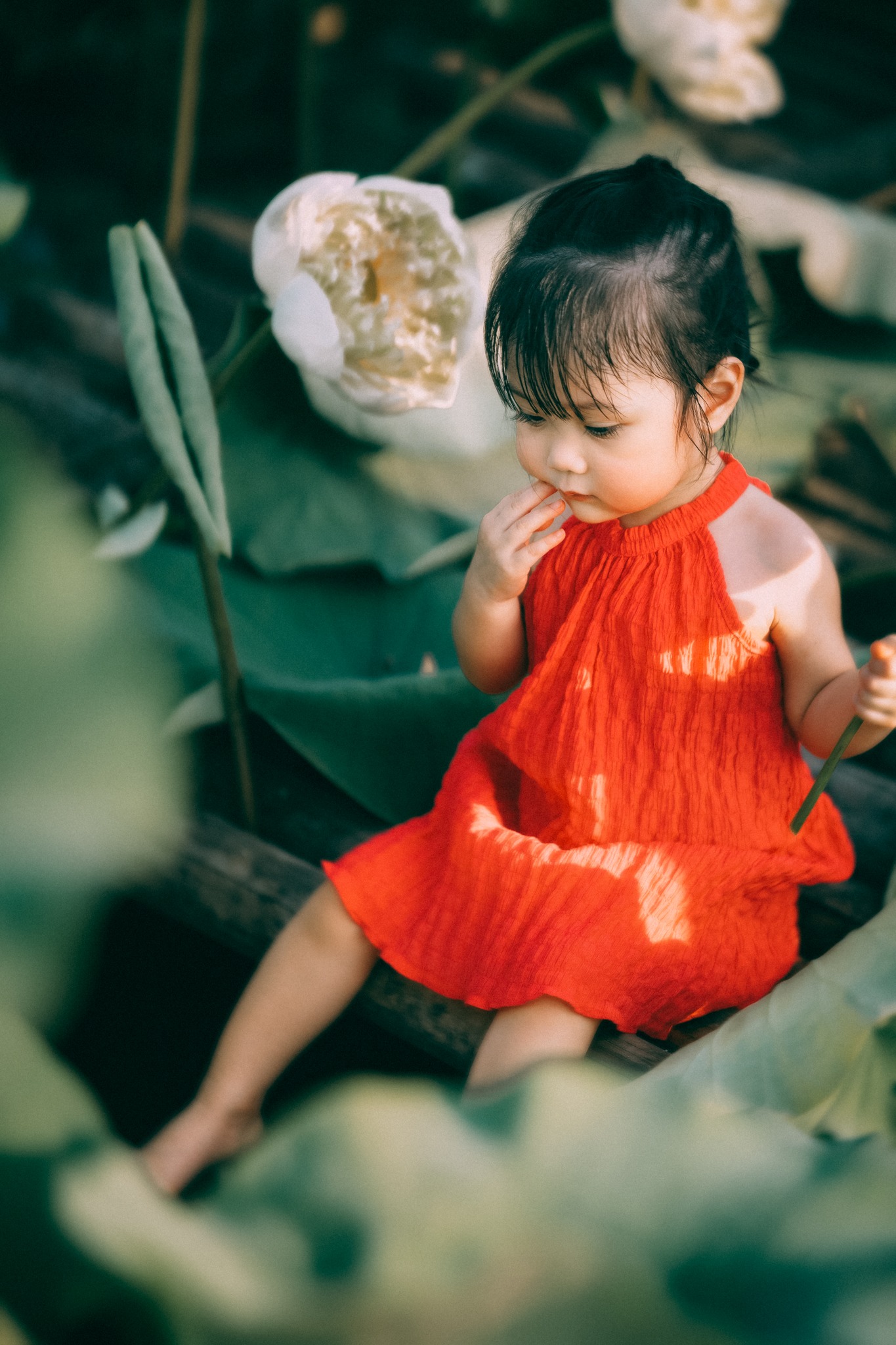 Tan chảy trước bộ ảnh ngọt ngào của bé gái 2 tuổi tạo dáng bên đầm sen-9