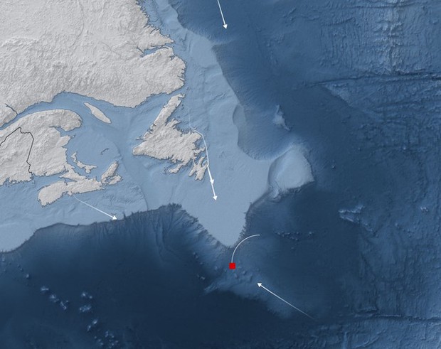 Tin mới nhất: Tỷ phú, CEO mất tích cùng tàu lặn Titan - Chỉ còn 1% cơ hội sống!-1