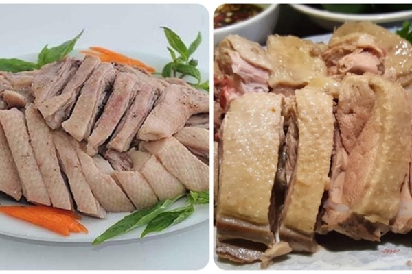 Ăn thịt vịt có tốt không?-1