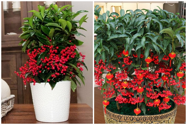 Phúc khí không cạn: Ai sinh vào 3 tháng Âm lịch này linh hoạt, tự tin, cuối tháng 6 của nả chật két-4