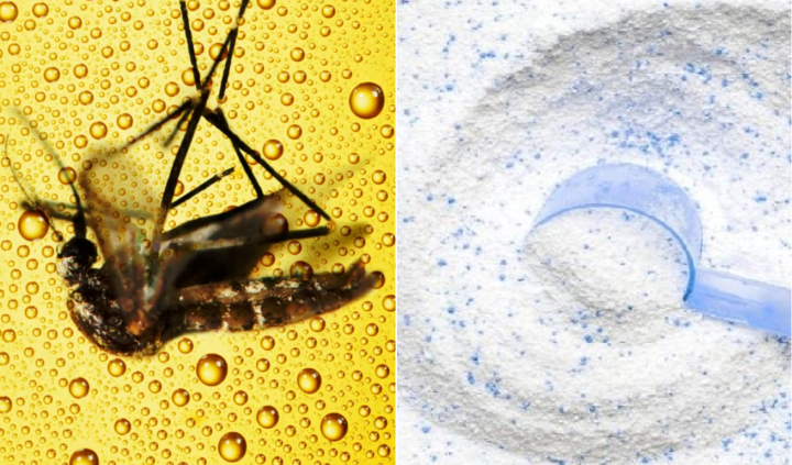 Trộn bột giặt với bia có công dụng gì?-1