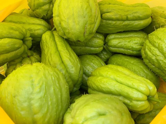 Nuôi con gái lột xác thành thiếu nữ, Hoa hậu Nguyễn Thị Huyền tìm thú vui tao nhã trong căn nhà bạc tỷ ở tuổi 37-26