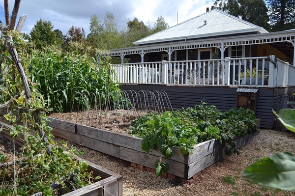 Quá yêu thích khu vườn ở quê, gia đình 5 người không trở lại thành phố-4