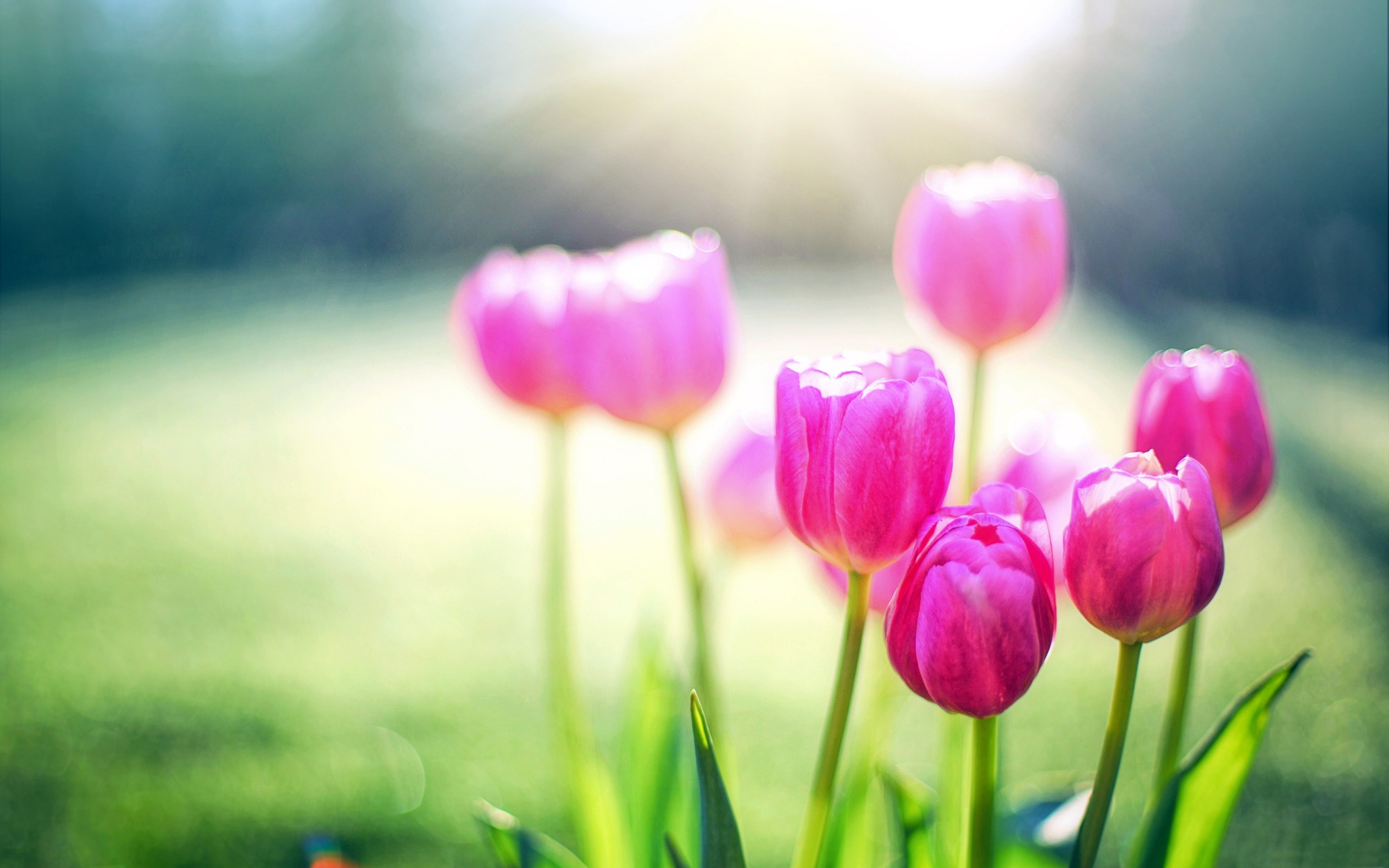 Nhạy bén, tinh tường, 3 con giáp trúng lớn, giàu to, sau Tết Đoan Ngọ không lo thiếu thốn-3