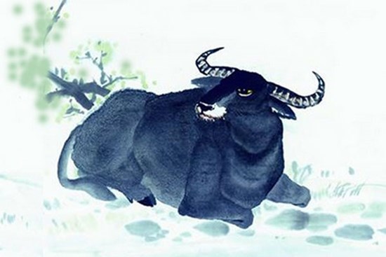 4 con giáp đen đủi đủ đường, ngồi không cũng có rắc rối từ trên trời rơi xuống trong 2 ngày cuối tuần