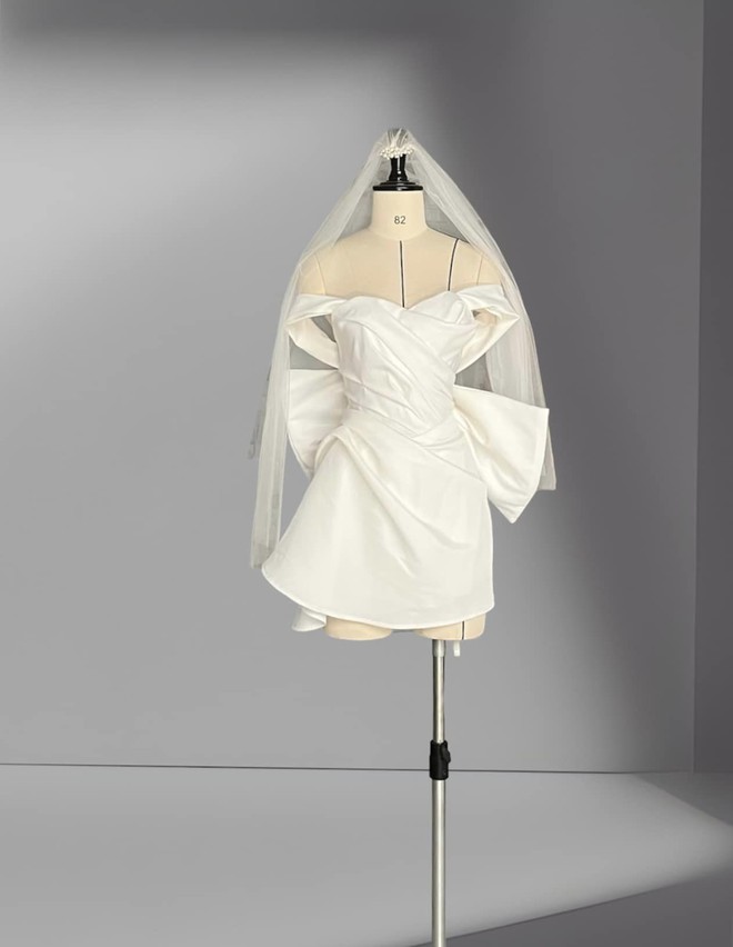 Đám cưới đặc biệt của cặp đôi trái dấu-8