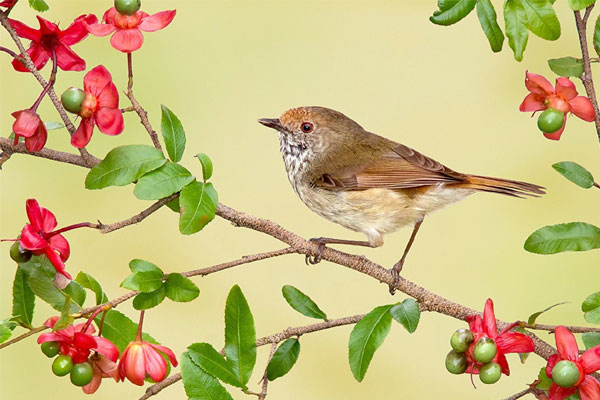 Vận may đến muộn: Ai sinh ngày Âm lịch này cuộc đời lên dốc, trước cay đắng, sau ngọt bùi, tiền tài đều dư dả-1