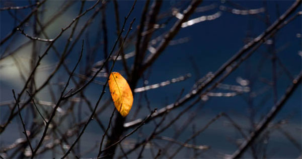 1 nguyên tắc đối nhân xử thế không phải ai cũng biết-1