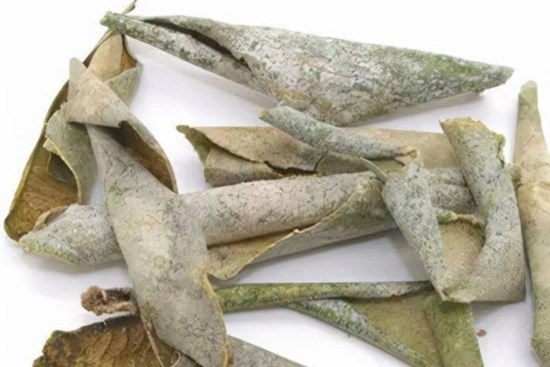 Loại củ quả quen thuộc có vỏ là 'thuốc quý' nhưng nhiều người lại vứt đi