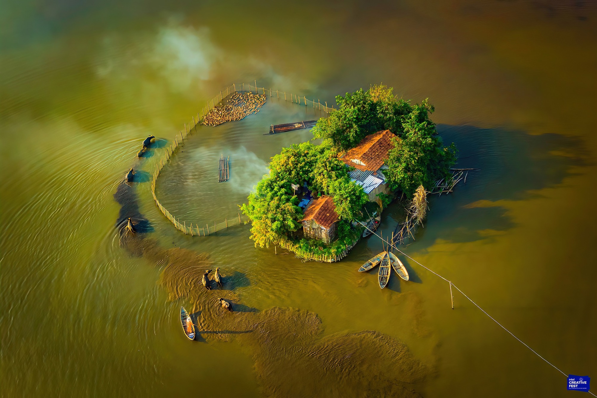 Chuyện tình đẹp trong ngôi nhà hình trái tim của cặp vợ chồng ở Quãng Ngãi-1