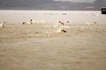 Quảng Ninh thông tin vụ nam sinh lớp 12 tử vong khi tham gia giải bơi vượt sông-2