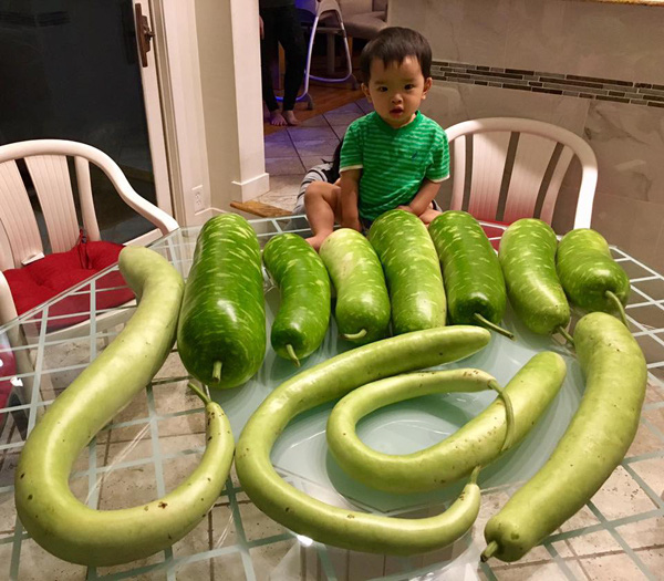 Nữ ca sĩ sống như bà hoàng tại Mỹ, chồng cứ thích là tặng biệt thự, siêu xe-10