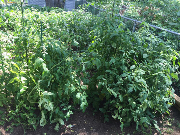 Nữ ca sĩ sống như bà hoàng tại Mỹ, chồng cứ thích là tặng biệt thự, siêu xe-12