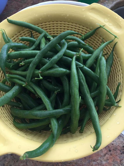 Nữ ca sĩ sống như bà hoàng tại Mỹ, chồng cứ thích là tặng biệt thự, siêu xe-15