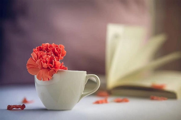 Đào hoa nở rộ: 3 con giáp được quý nhân phù trợ, nhân duyên viên mãn trong tháng 7-4