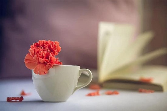 Tử vi tuần mới 26/6 - 2/7/2023: Tuổi Sửu mọi chuyện ổn thỏa, tuổi Hợi tình cảm thăng hoa