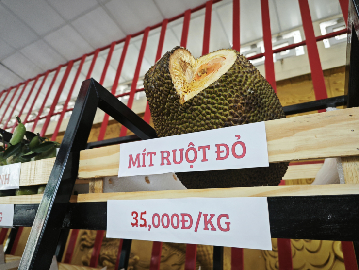 Mít ruột đỏ đã hết độc lạ-3