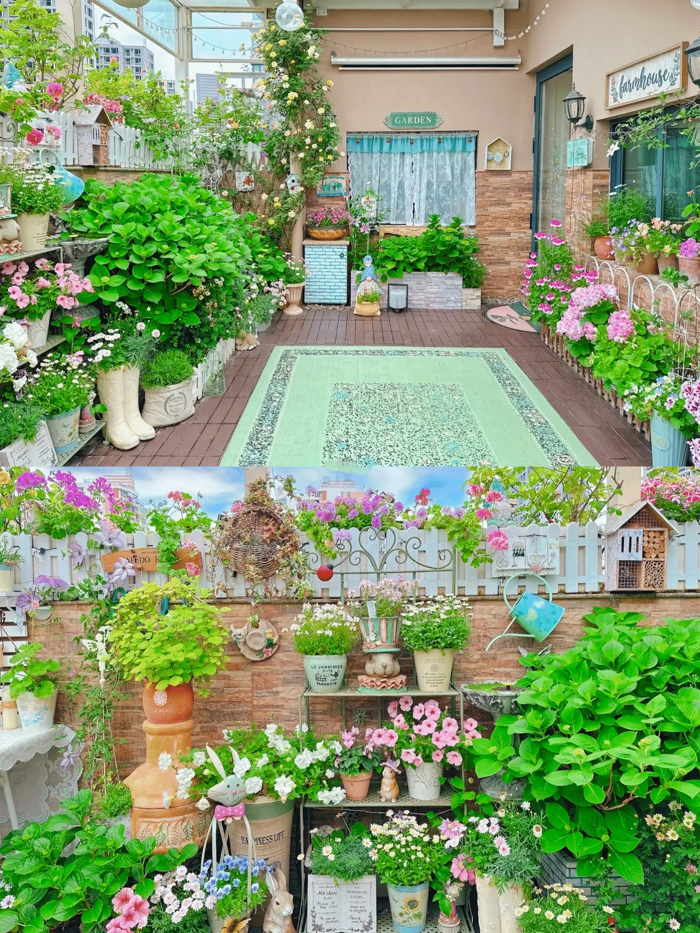 Khu vườn sân thượng ngập hoa làm không gian thư giãn khiến nhiều người ngưỡng mộ-1