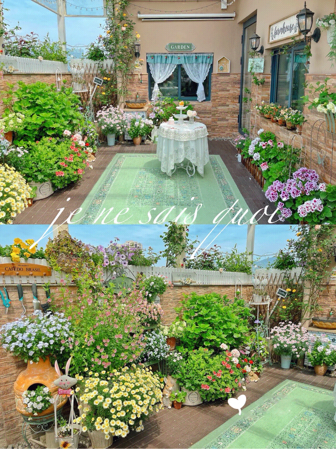 Khu vườn sân thượng ngập hoa làm không gian thư giãn khiến nhiều người ngưỡng mộ-2