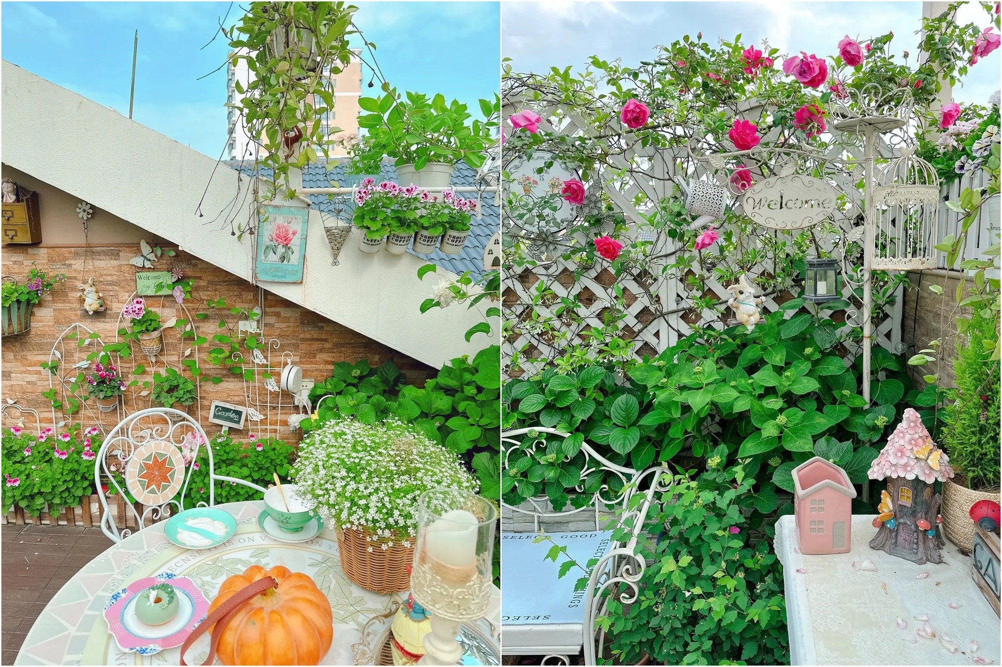 Khu vườn sân thượng ngập hoa làm không gian thư giãn khiến nhiều người ngưỡng mộ-3