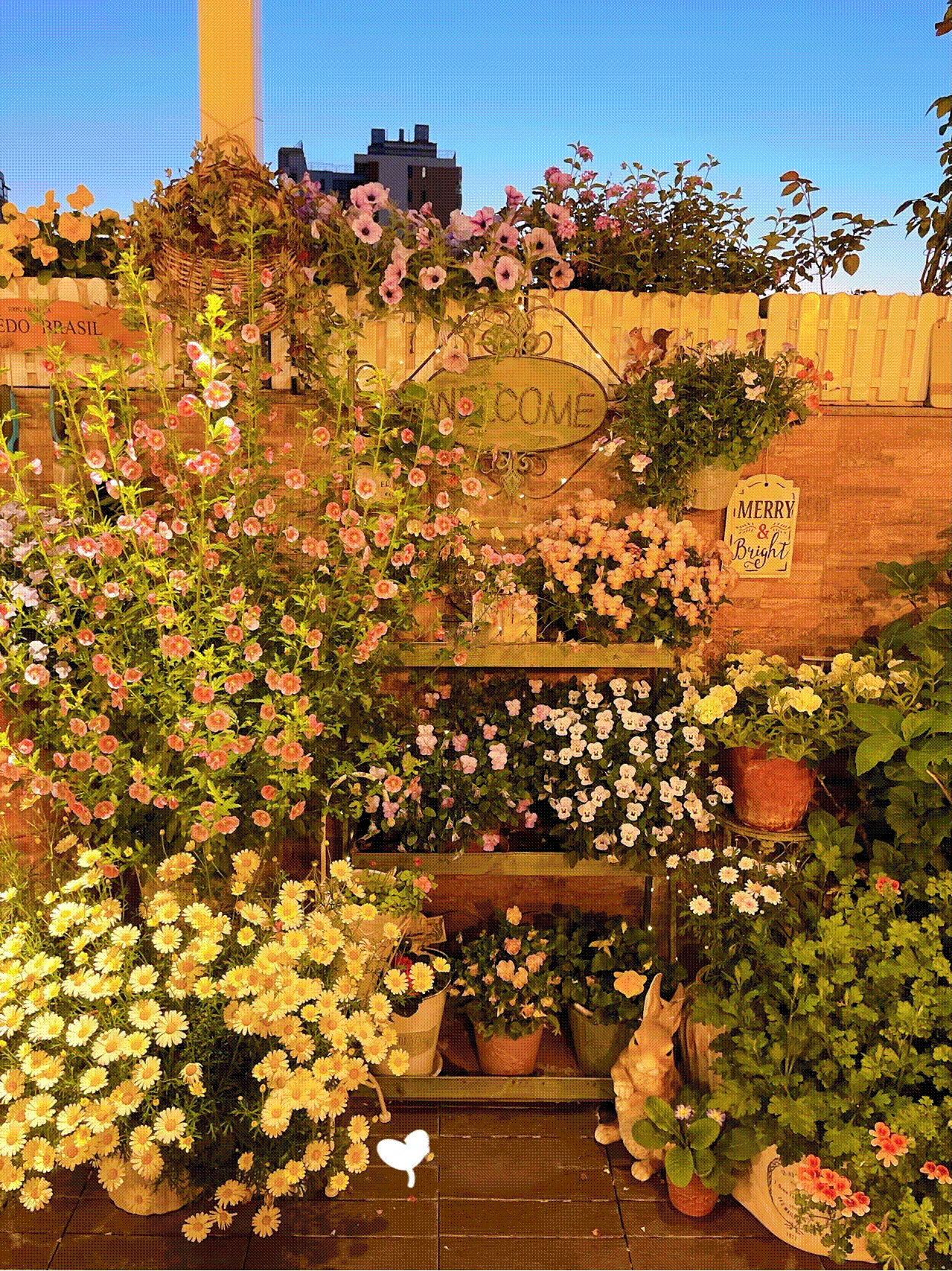 Khu vườn sân thượng ngập hoa làm không gian thư giãn khiến nhiều người ngưỡng mộ-7