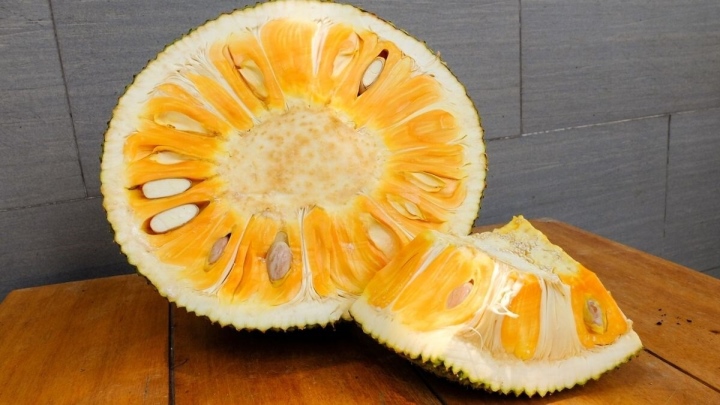 Mẹo hay làm sạch nhựa mít dính trên tay, dao và quần áo cực nhanh-1