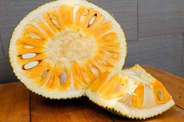 Lái xe dưới trời mưa lớn cần chú ý điều gì?-4