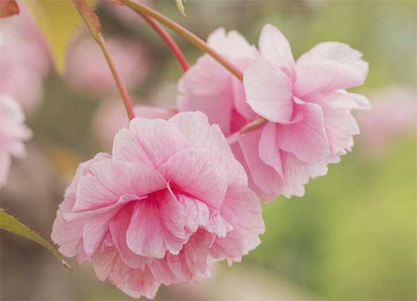 Tử vi ngày 28/6/2023 của 12 cung hoàng đạo: Song Tử nhiều áp lực, Bảo Bình khó thích nghi-2