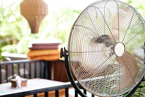 Tôm có dấu hiệu này, rẻ mấy cũng nhất định không mua-1