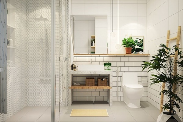 5 cây cảnh hot nhất năm 2023, ngàn hoa khoe sắc, nhà nào cũng thích trồng-9