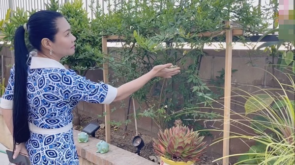 Cuộc sống viên mãn của NSƯT Ngọc Huyền ở tuổi 52 trong biệt thự triệu đô ở Mỹ-15