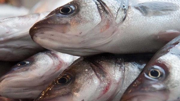 Cô gái 30 tuổi bị suy buồng trứng, cơ thể có chứa lượng thủy ngân quá lớn vì 1 món ăn-3