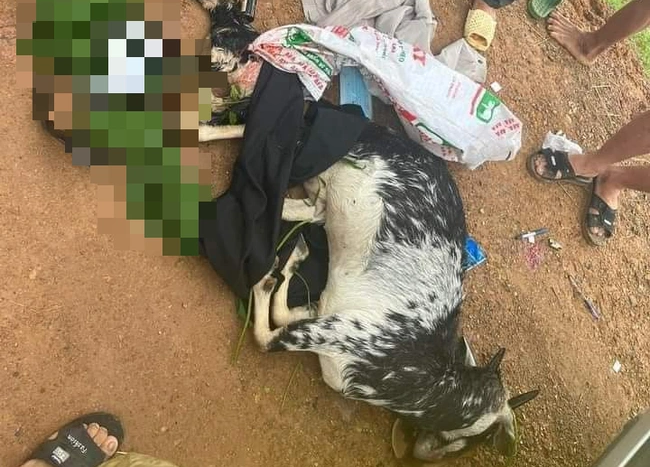 Giá trị con dê là căn cứ xử lý 3 chiến sĩ công an bắn nhầm-1