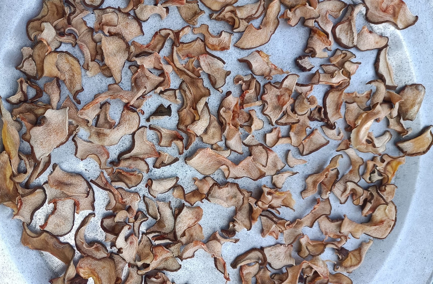 Vào rừng hái quả tai chua, 9x làm như này bán 180.000 đồng/kg vẫn cháy” hàng-3