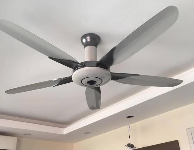 Quạt trần hay quạt cây tốn điện hơn? Bảng so sánh từ nghiên cứu của chuyên gia gây bất ngờ-1