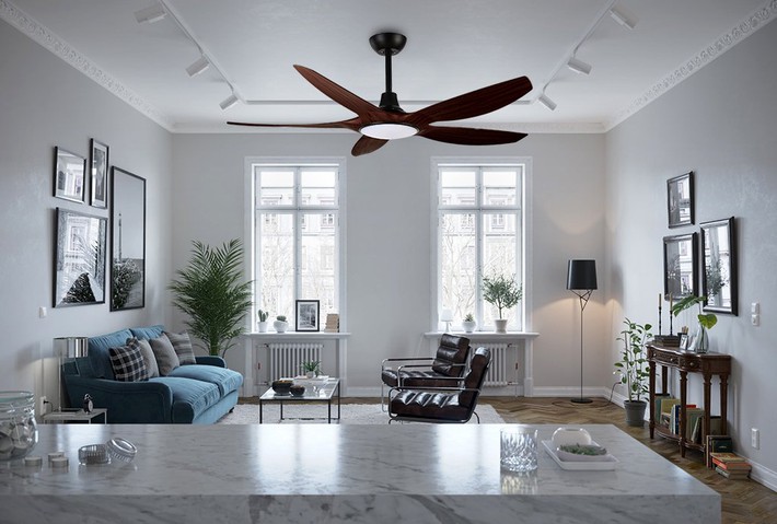 Quạt trần hay quạt cây tốn điện hơn? Bảng so sánh từ nghiên cứu của chuyên gia gây bất ngờ-4