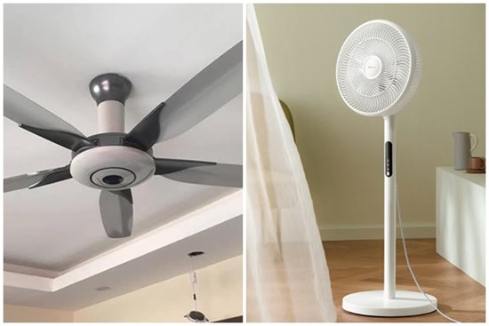 Quạt trần hay quạt cây tốn điện hơn? Bảng so sánh từ nghiên cứu của chuyên gia gây bất ngờ