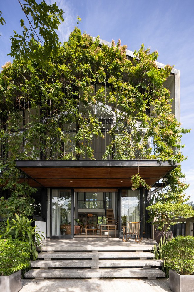 Ngắm ngôi nhà đẹp như cổ tích nhờ dùng dây leo làm mặt tiền-16