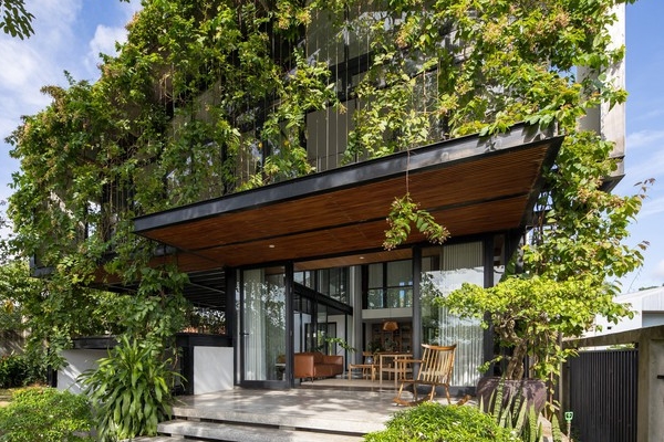 Vườn rau sân thượng rộng 100m2 ở Bình Dương: Đẹp không nỡ ăn, thành quả thu hoạch ấn tượng-20