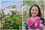 Mãn nhãn với vườn rau trên sân thượng mơn mởn, xanh mướt, ăn không hết của mẹ đảm ở Đà Nẵng-11
